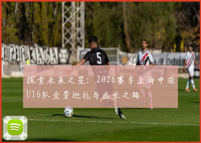 探索未来之星：2026赛季上海申花U16队全景巡礼与成长之路